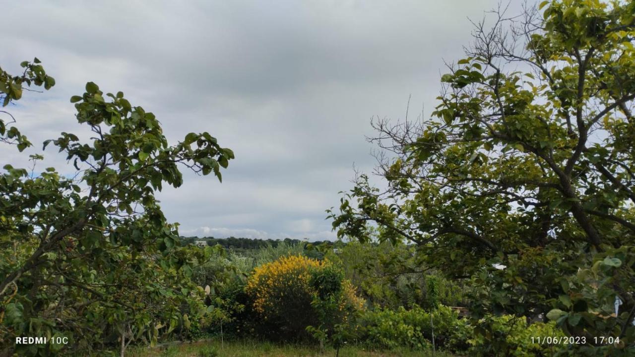 Appartamento Le Terrazze Della Crianza Ostuni Esterno foto