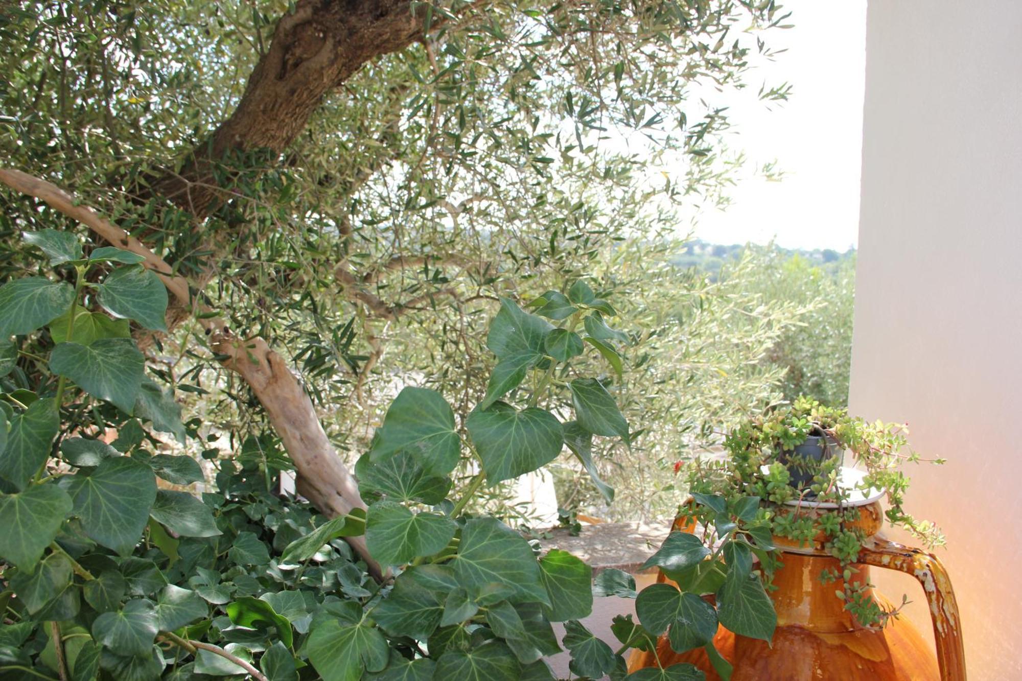 Appartamento Le Terrazze Della Crianza Ostuni Esterno foto